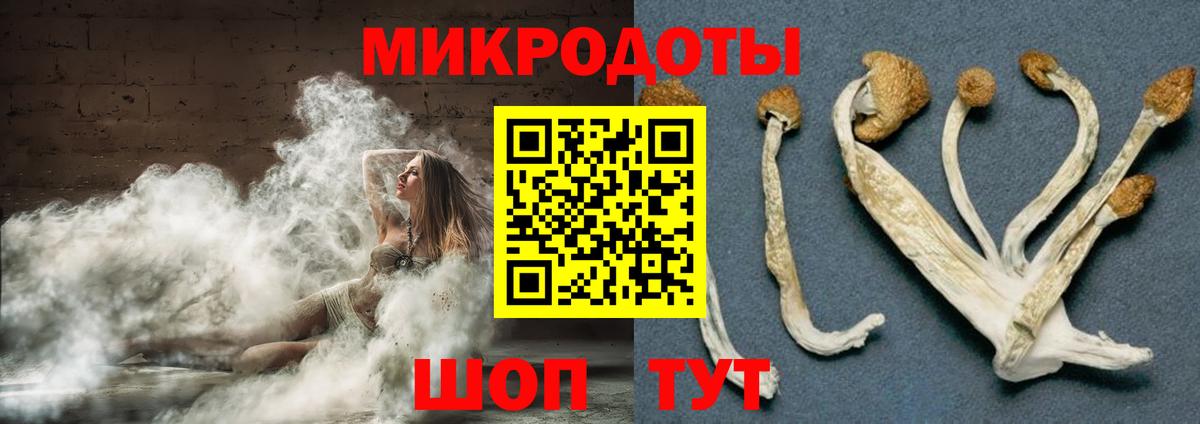 Галлюциногенные грибы мицелий  Псилоцибиновые грибы Cubensis  Вход с VPN  Будённовск 